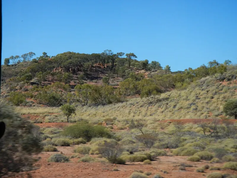 Red Dirt Reels: How the Australian Spirit Is Reshaping the Games We Love
